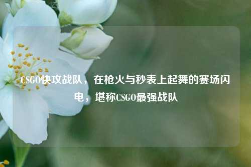 CSGO快攻战队，在枪火与秒表上起舞的赛场闪电，堪称CSGO最强战队