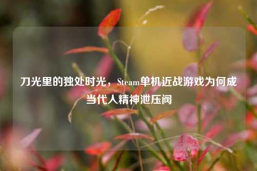 刀光里的独处时光，Steam单机近战游戏为何成当代人精神泄压阀