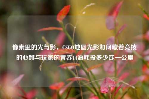 像素里的光与影，CSGO地图光影如何藏着竞技的心跳与玩家的青春14油耗投多少钱一公里