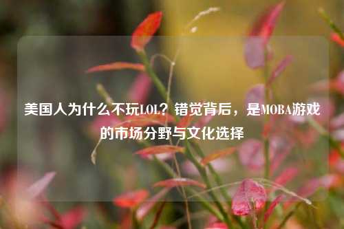 美国人为什么不玩LOL？错觉背后，是MOBA游戏的市场分野与文化选择
