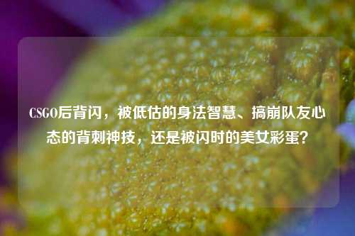 CSGO后背闪，被低估的身法智慧、搞崩队友心态的背刺神技，还是被闪时的美女彩蛋？