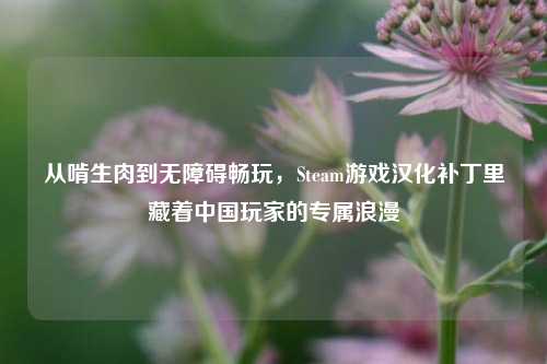 从啃生肉到无障碍畅玩，Steam游戏汉化补丁里藏着中国玩家的专属浪漫