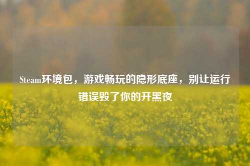 Steam环境包，游戏畅玩的隐形底座，别让运行错误毁了你的开黑夜