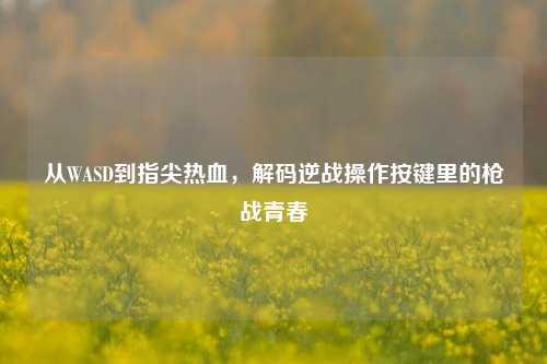 从WASD到指尖热血，解码逆战操作按键里的枪战青春
