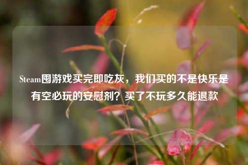 Steam囤游戏买完即吃灰,我们买的不是快乐是有空必玩的安慰剂?买了不玩多久能退款