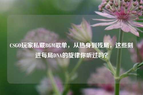 CSGO玩家私藏BGM歌单，从热身到残局，这些刻进每局DNA的旋律你听过吗？