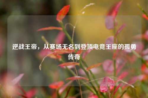 逆战王帝，从赛场无名到登顶电竞王座的孤勇传奇