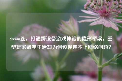 Steam连，打通跨设备游戏体验的隐形桥梁，重塑玩家数字生活却为何频现连不上网络问题？