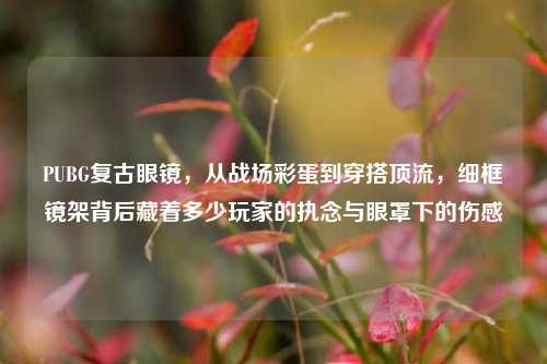 PUBG复古眼镜，从战场彩蛋到穿搭顶流，细框镜架背后藏着多少玩家的执念与眼罩下的伤感