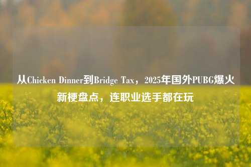 从Chicken Dinner到Bridge Tax,2025年国外PUBG爆火新梗盘点,连职业选手都在玩