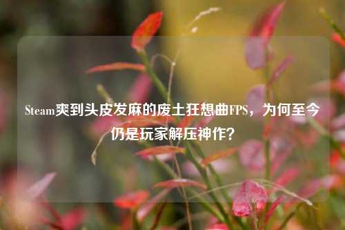 Steam爽到头皮发麻的废土狂想曲FPS，为何至今仍是玩家解压神作？