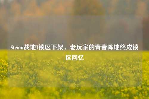 Steam战地1锁区下架,老玩家的青春阵地终成锁区回忆