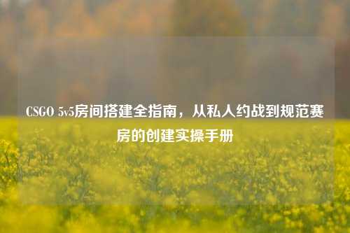 CSGO 5v5房间搭建全指南，从私人约战到规范赛房的创建实操手册