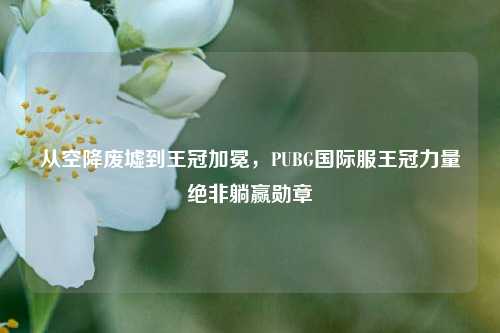 从空降废墟到王冠加冕,PUBG国际服王冠力量绝非躺赢勋章