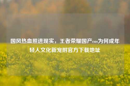 国风热血照进现实，王者荣耀国产cos为何成年轻人文化新宠附官方下载地址
