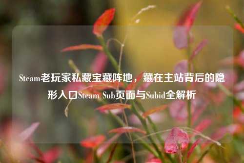 Steam老玩家私藏宝藏阵地，藏在主站背后的隐形入口Steam Sub页面与Subid全解析