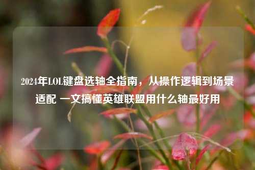 2024年LOL键盘选轴全指南，从操作逻辑到场景适配 一文搞懂英雄联盟用什么轴最好用