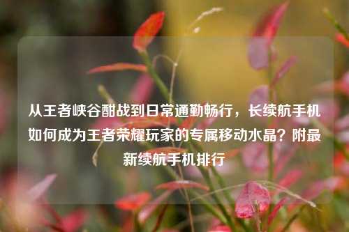从王者峡谷酣战到日常通勤畅行，长续航手机如何成为王者荣耀玩家的专属移动水晶？附最新续航手机排行