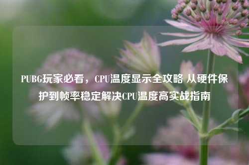 PUBG玩家必看，CPU温度显示全攻略 从硬件保护到帧率稳定解决CPU温度高实战指南