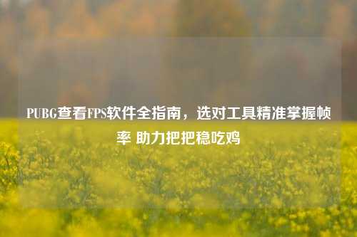 PUBG查看FPS软件全指南，选对工具精准掌握帧率 助力把把稳吃鸡