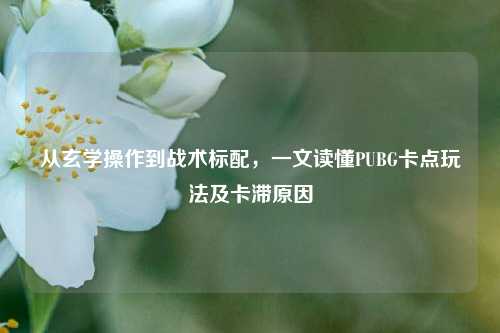 从玄学操作到战术标配，一文读懂PUBG卡点玩法及卡滞原因