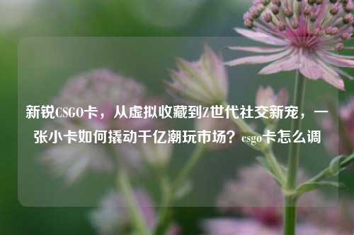新锐CSGO卡，从虚拟收藏到Z世代社交新宠，一张小卡如何撬动千亿潮玩市场？csgo卡怎么调