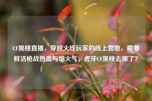 CF黑桃直播，穿越火线玩家的线上营地，藏着鲜活枪战热血与烟火气，虎牙CF黑桃去哪了？