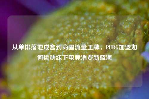 从单排落地成盒到商圈流量王牌，PUBG加盟如何撬动线下电竞消费新蓝海