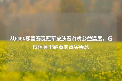 从PUBG慈善赛及冠军皮肤看游戏公益温度，虚拟道具里藏着的真实善意