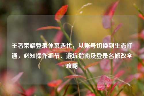 王者荣耀登录体系迭代，从账号切换到生态打通，必知操作细节、避坑指南及登录名修改全攻略