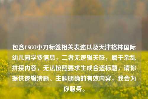 包含CSGO小刀标签相关表述以及天津格林国际幼儿园学费信息，二者无逻辑关联，属于杂乱拼接内容，无法按照要求生成合适标题，请你提供逻辑清晰、主题明确的有效内容，我会为你服务。