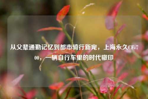 从父辈通勤记忆到都市骑行新宠，上海永久CF-700，一辆自行车里的时代辙印