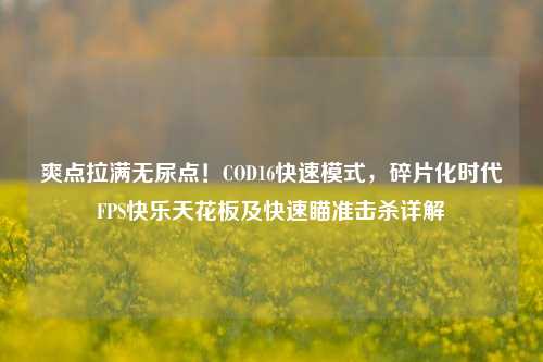 爽点拉满无尿点！COD16快速模式，碎片化时代FPS快乐天花板及快速瞄准击杀详解