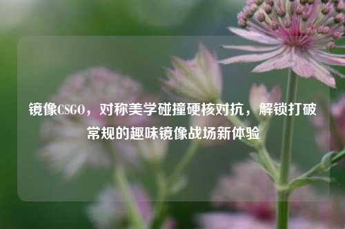 镜像CSGO,对称美学碰撞硬核对抗,解锁打破常规的趣味镜像战场新体验