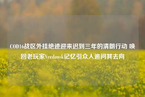 COD16战区外挂绝迹迎来迟到三年的清朗行动 唤回老玩家Verdansk记忆引众人追问其去向