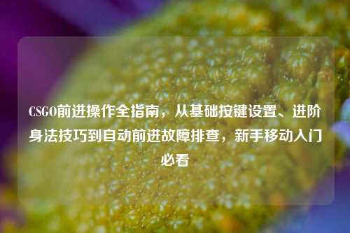 CSGO前进操作全指南，从基础按键设置、进阶身法技巧到自动前进故障排查，新手移动入门必看