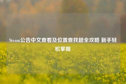 Steam公告中文查看及位置查找超全攻略 新手轻松掌握