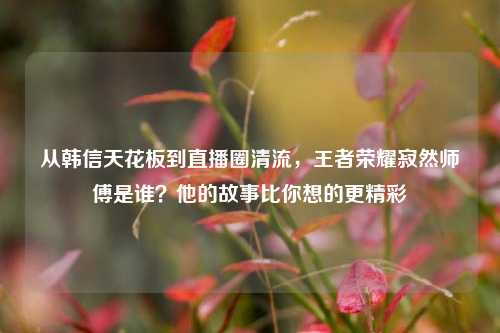 从韩信天花板到直播圈清流,王者荣耀寂然师傅是谁?他的故事比你想的更精彩
