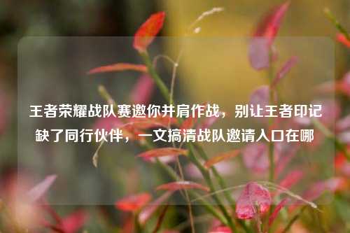 王者荣耀战队赛邀你并肩作战，别让王者印记缺了同行伙伴，一文搞清战队邀请入口在哪