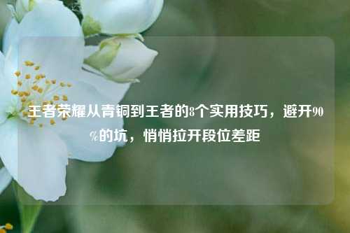王者荣耀从青铜到王者的8个实用技巧,避开90%的坑,悄悄拉开段位差距