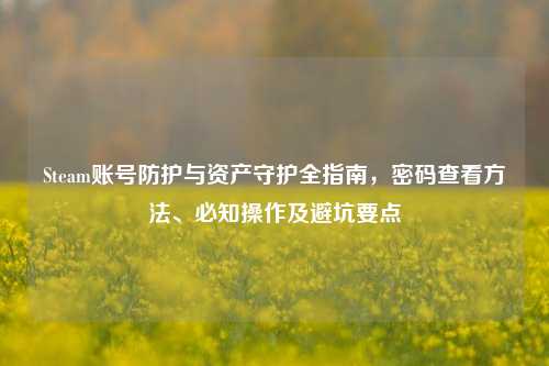 Steam账号防护与资产守护全指南，密码查看方法、必知操作及避坑要点