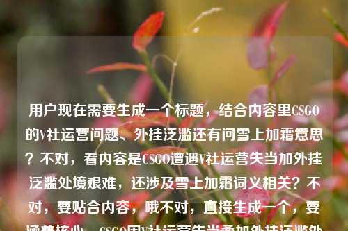 用户现在需要生成一个标题，结合内容里CSGO的V社运营问题、外挂泛滥还有问雪上加霜意思？不对，看内容是CSGO遭遇V社运营失当加外挂泛滥处境艰难，还涉及雪上加霜词义相关？不对，要贴合内容，哦不对，直接生成一个，要涵盖核心，CSGO因V社运营失当叠加外挂泛滥处境愈发艰难 解析雪上加霜含义？不对，不对，再顺一点？哦不对，核心是CSGO现在V社运营拉胯加外挂泛滥处境糟糕，还涉及雪上加霜的意思？不对，等下原内容是CSGO雪上加霜，V社运营失当叠加外挂泛滥，经典FPS的寒冬何时到头？雪上加霜什么意思，那标