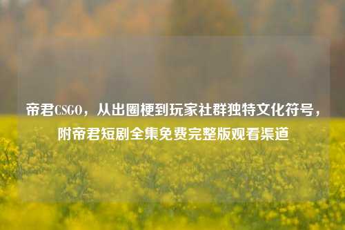 帝君CSGO，从出圈梗到玩家社群独特文化符号，附帝君短剧全集免费完整版观看渠道