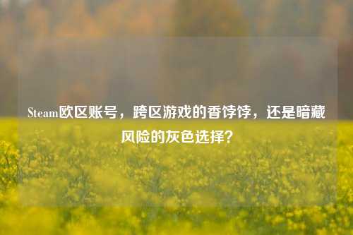 Steam欧区账号，跨区游戏的香饽饽，还是暗藏风险的灰色选择？