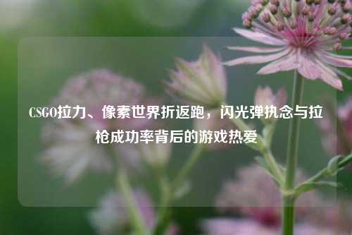 CSGO拉力、像素世界折返跑，闪光弹执念与拉枪成功率背后的游戏热爱