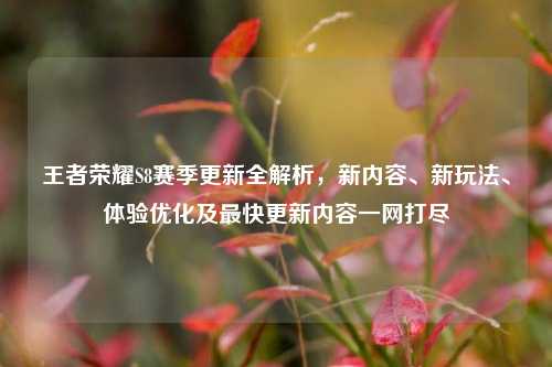 王者荣耀S8赛季更新全解析,新内容、新玩法、体验优化及最快更新内容一网打尽