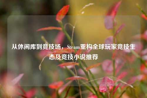 从休闲库到竞技场，Steam重构全球玩家竞技生态及竞技小说推荐