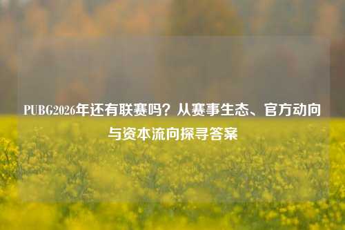 PUBG2026年还有联赛吗？从赛事生态、官方动向与资本流向探寻答案
