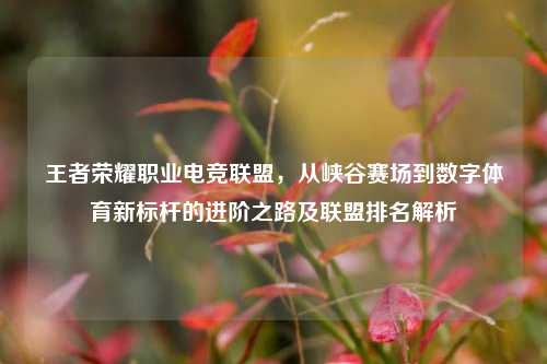 王者荣耀职业电竞联盟，从峡谷赛场到数字体育新标杆的进阶之路及联盟排名解析