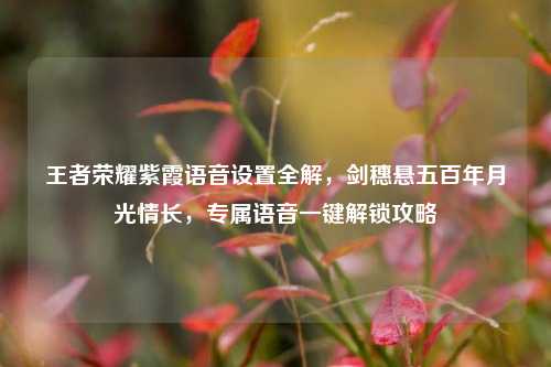 王者荣耀紫霞语音设置全解，剑穗悬五百年月光情长，专属语音一键解锁攻略